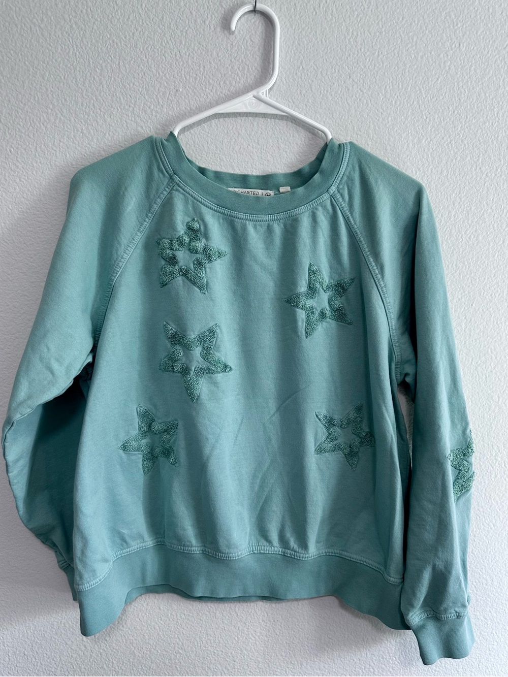 Uncharted Threads- medium Mint Green Star Embroidered Sweatshirt
